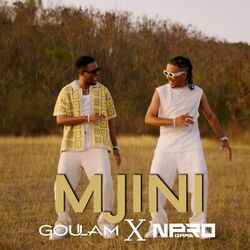 Cover of Mjini
