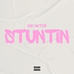 Cover of STUNTIN'