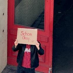 Cover of schon okay.
