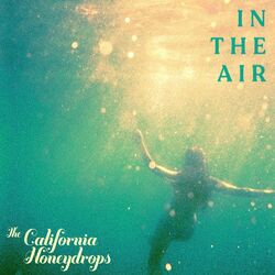 Cover of In The Air
