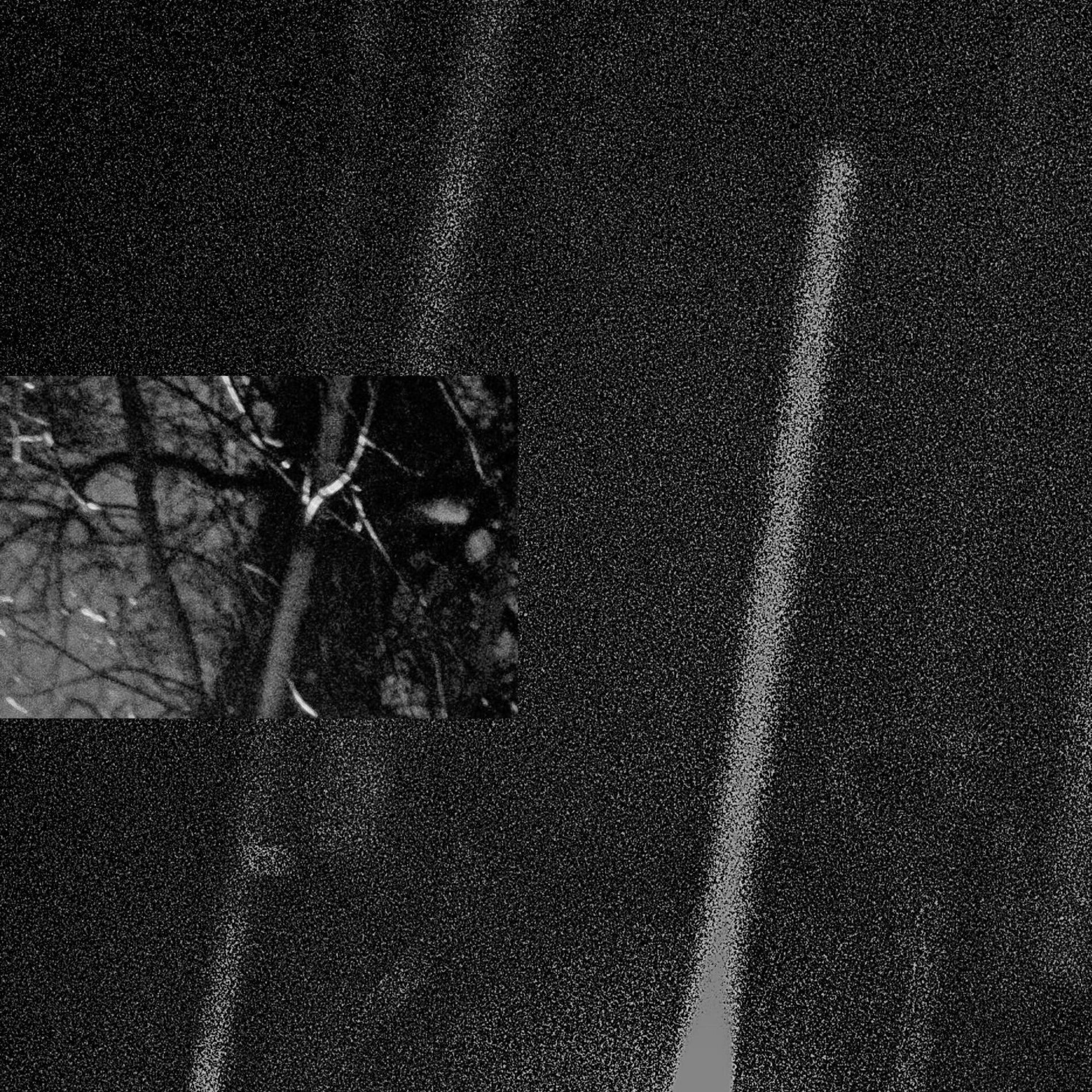 Album cover of N E T A R I H I L A S