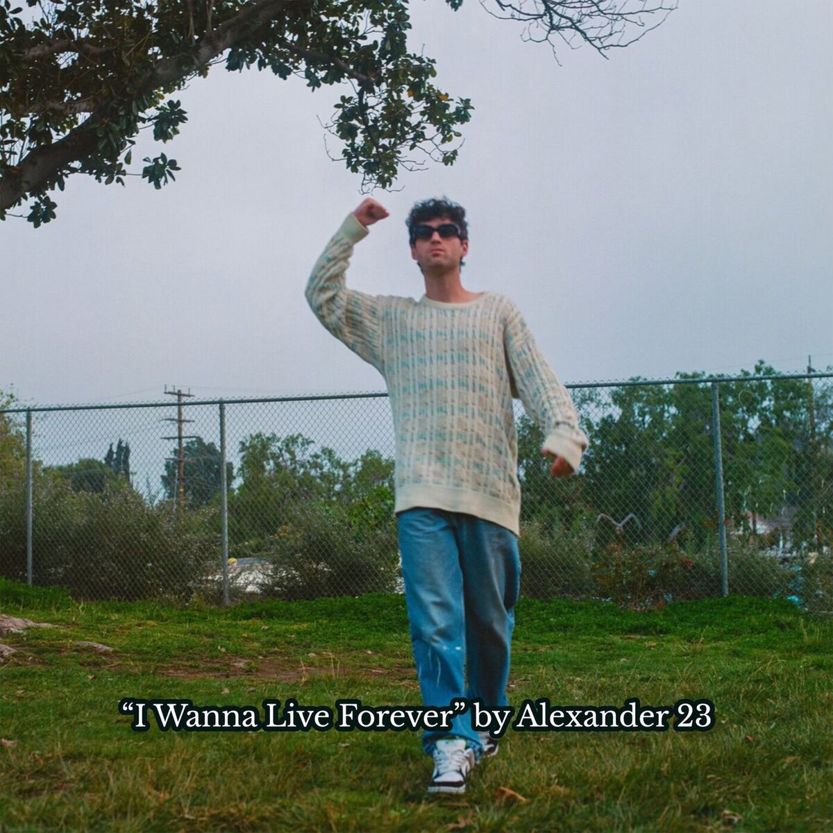 Album cover of I Wanna Live Forever