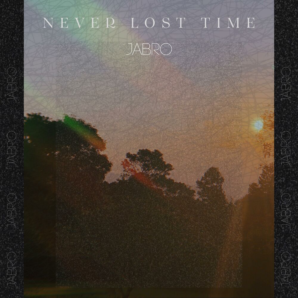 Picture of Never Lost Time