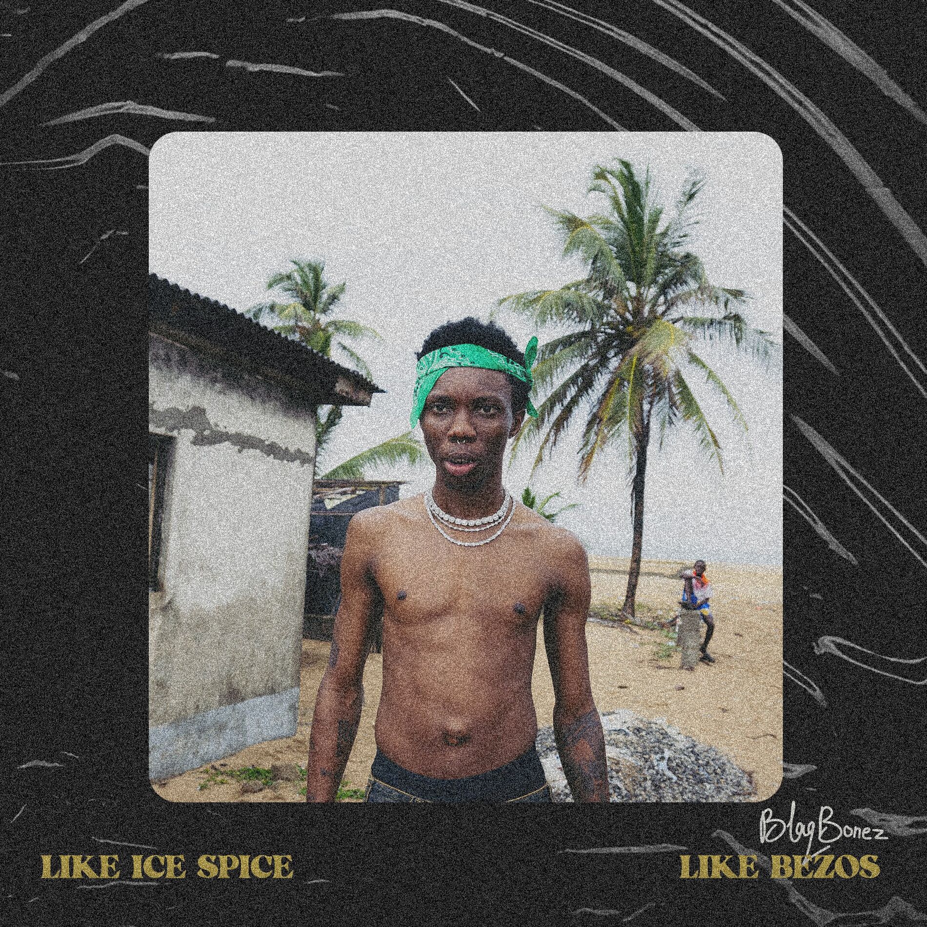 Album cover of LIKE ICE SPICE