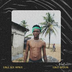 Cover of Like Ice Spice / Bezos