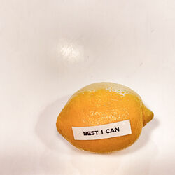 Cover of Best I Can