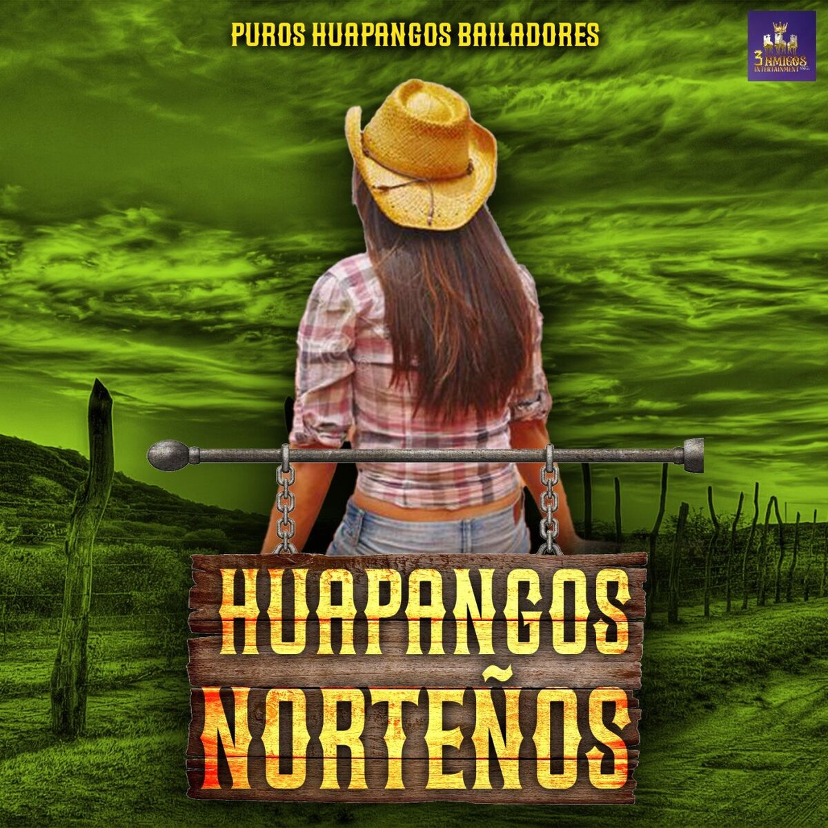Album cover of Puros Huapangos Bailadores