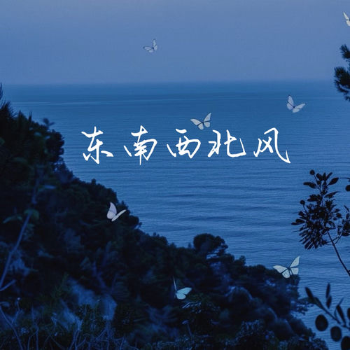 东南西北风