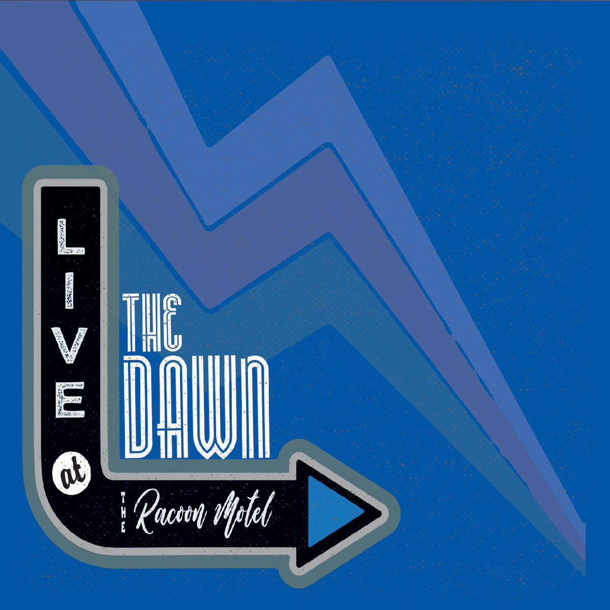 Album cover of Live at the Raccoon Motel