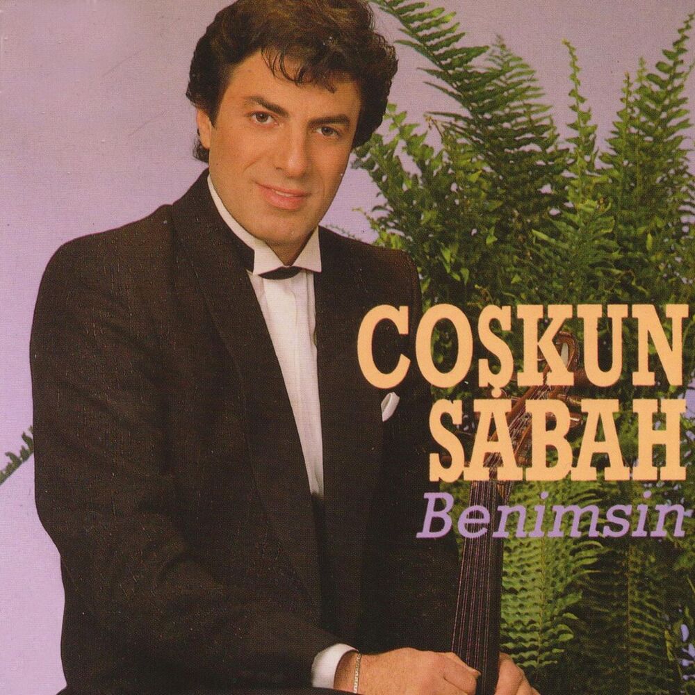Picture of Benimsin