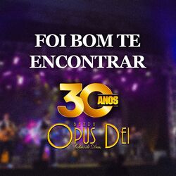 Cover of Foi Bom Te Encontrar - Dvd 30 Anos