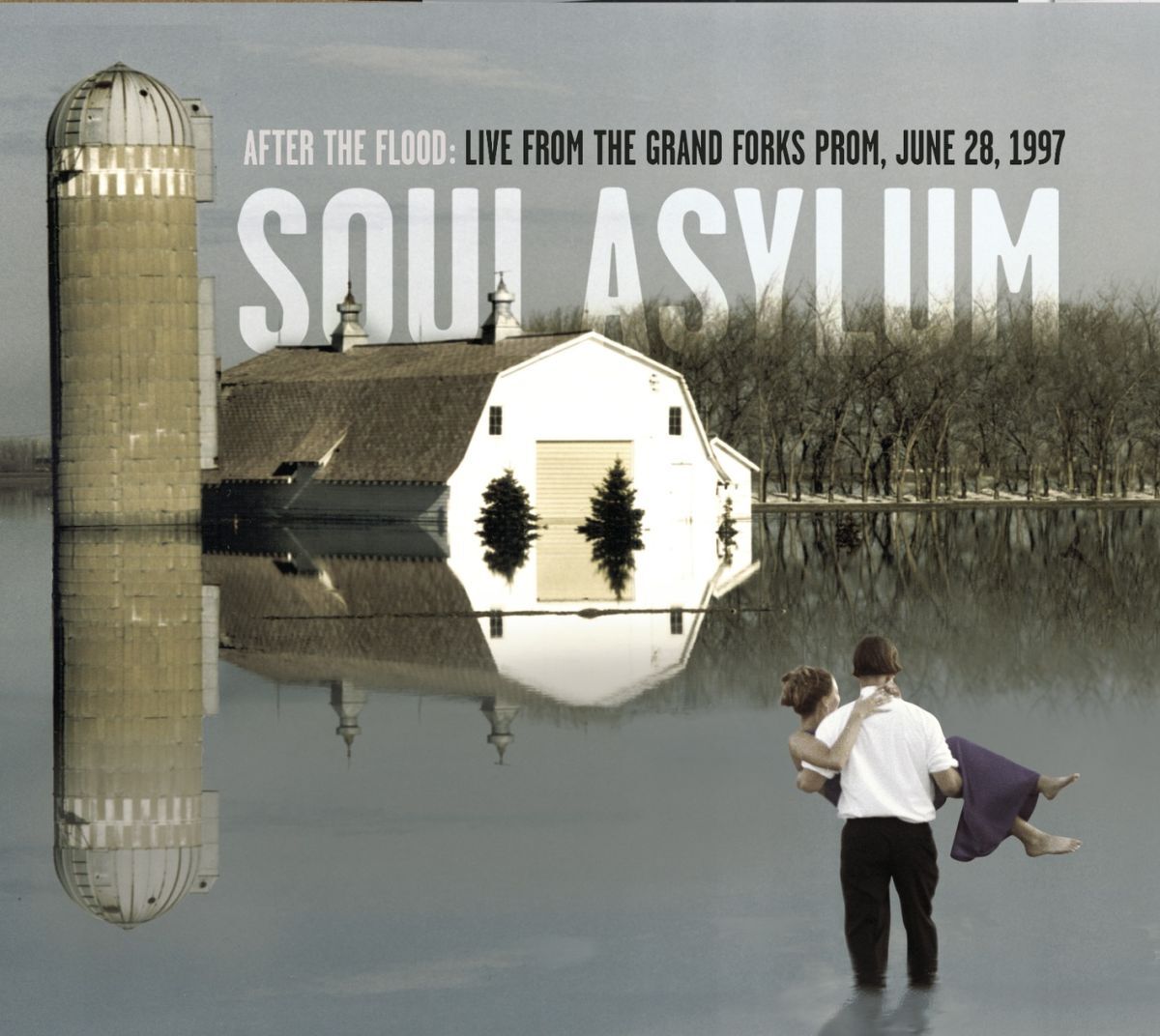 Album cover of Sexual Healing