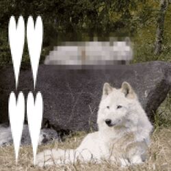 Cover of Computer birth