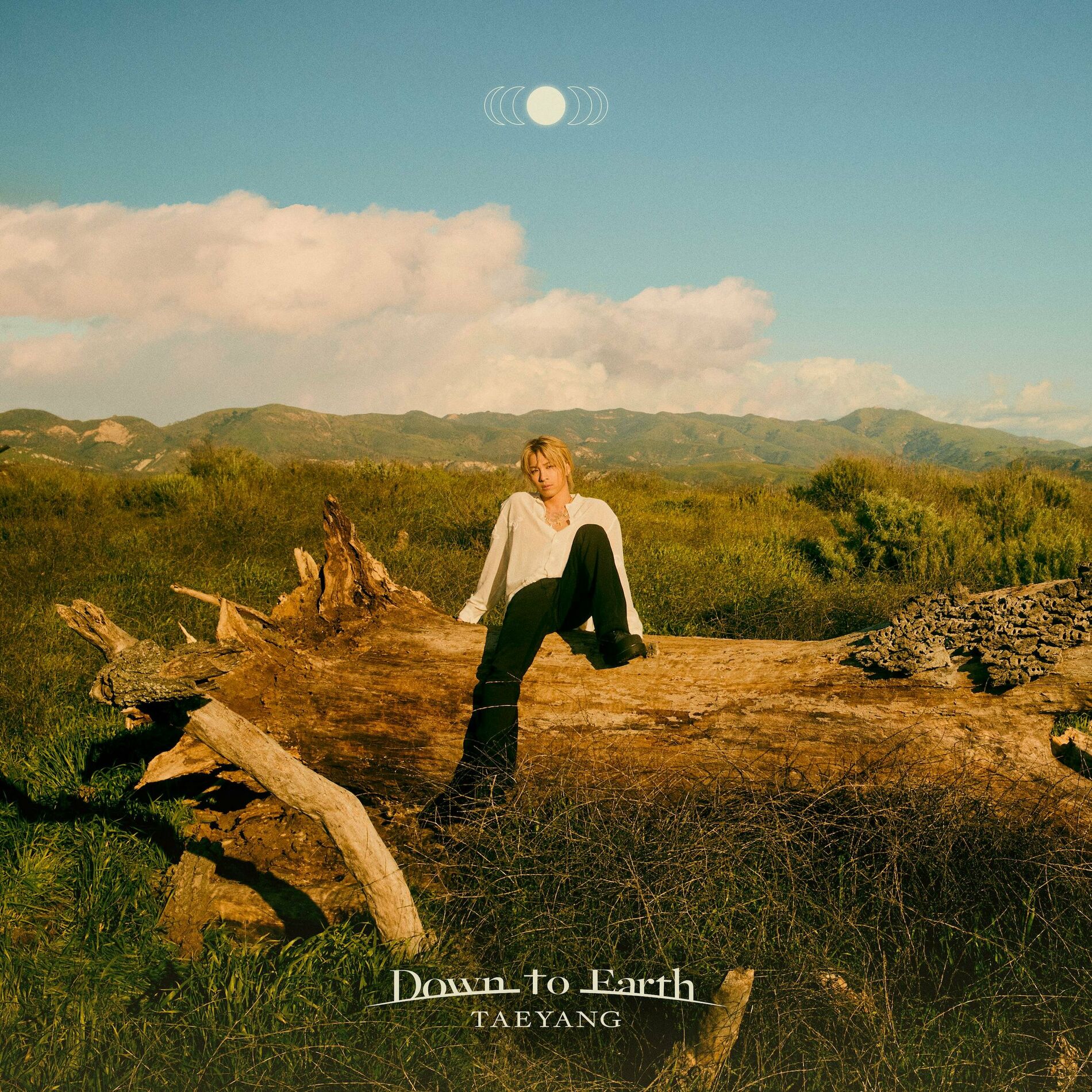 Album cover of Down to Earth