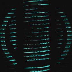 Cover of Only Echo