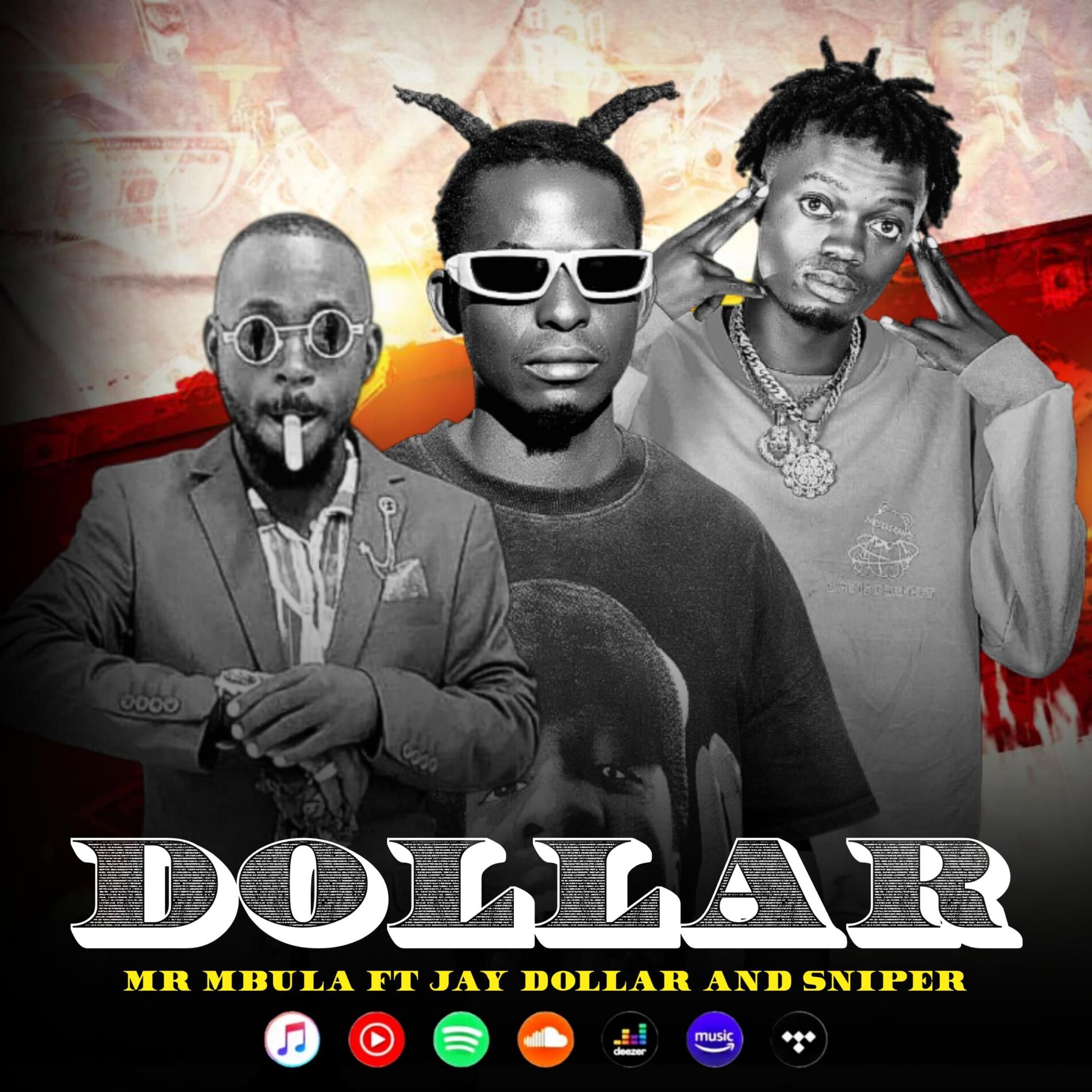 Album cover of Mr Mbula (DOLLAR) (feat. Jay Dollar & Sniper)