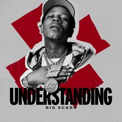 Cover of Understanding