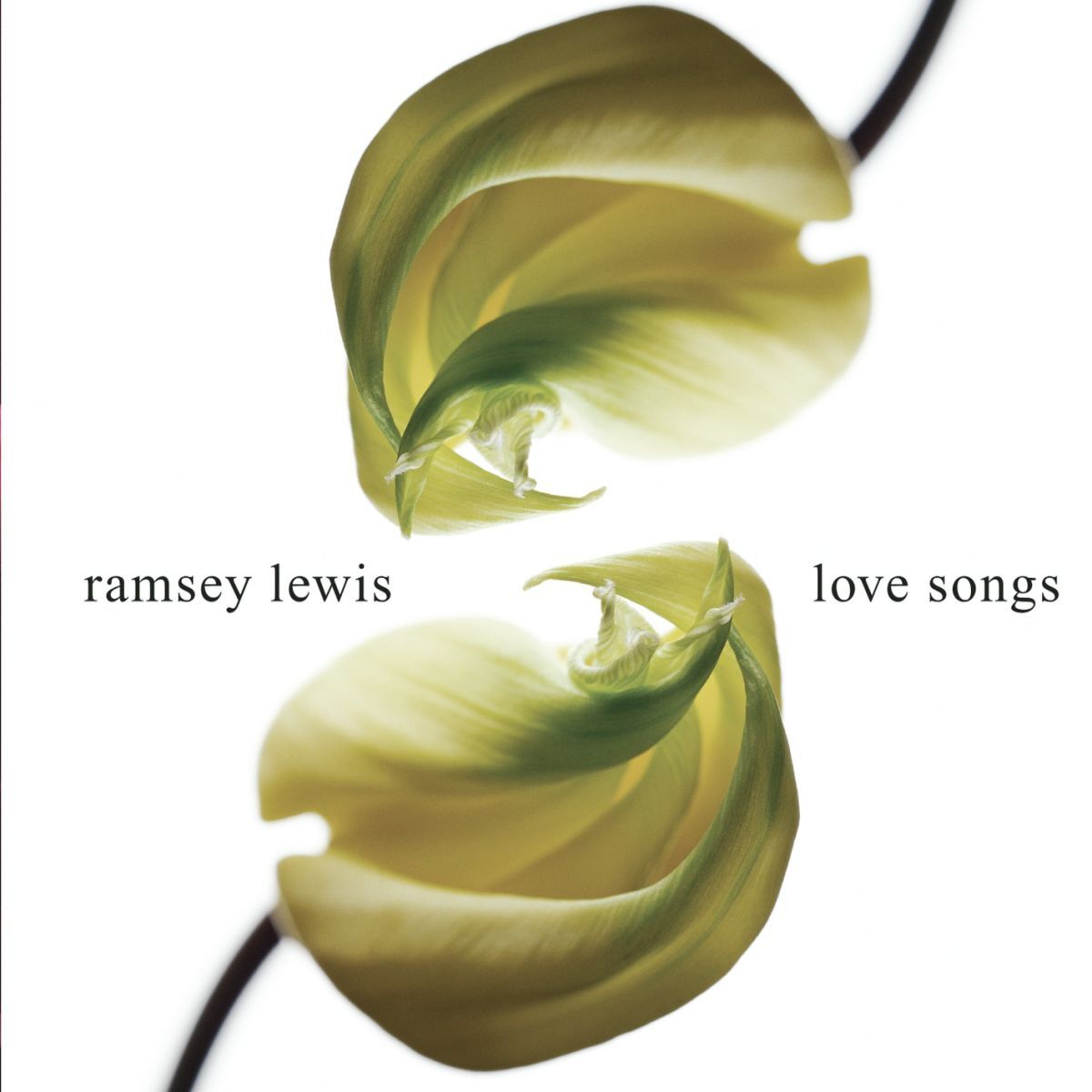 Album cover of Love Songs