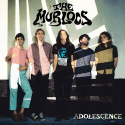 Cover of Adolescence