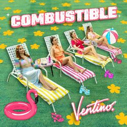 Cover of Combustible