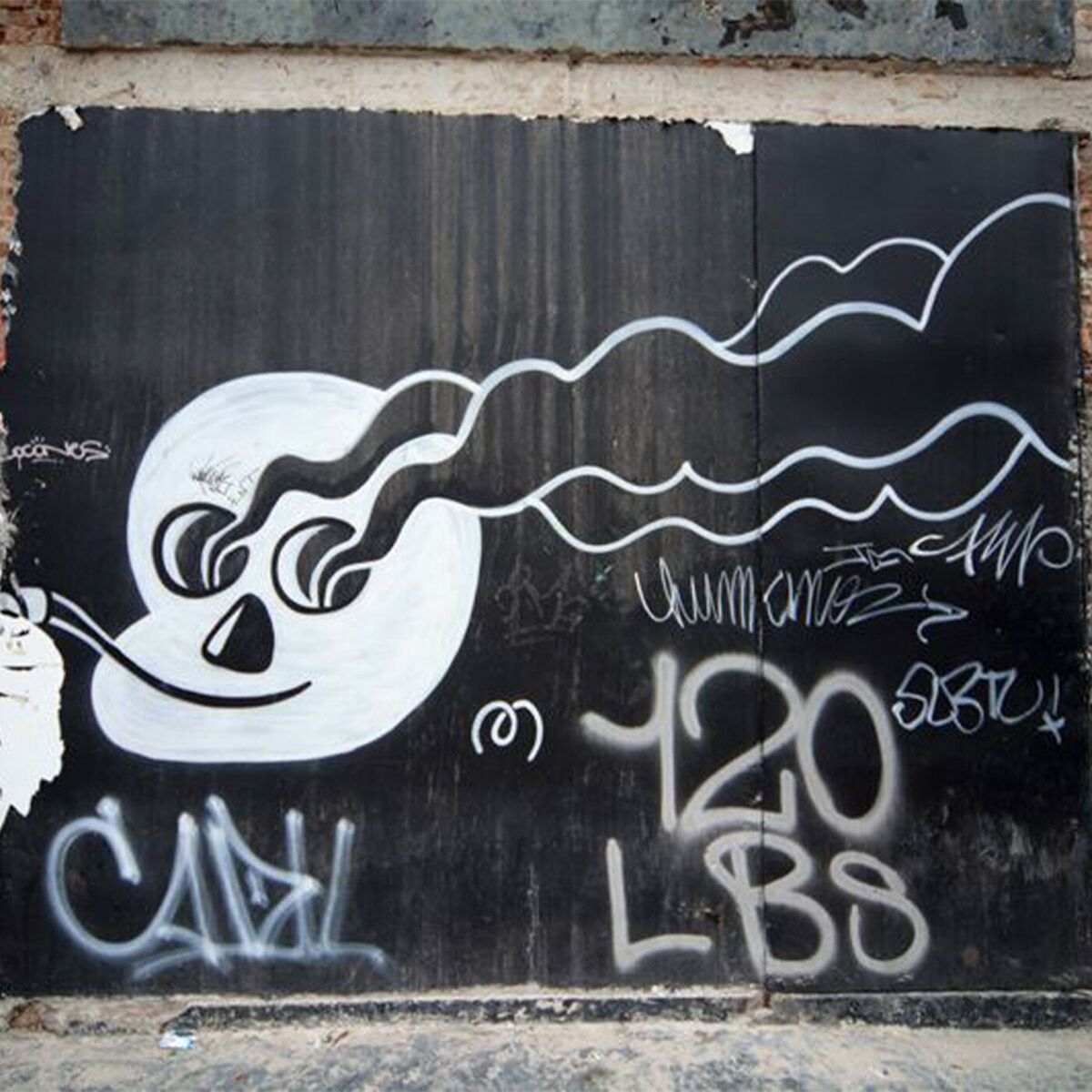Album cover of Bota Bota