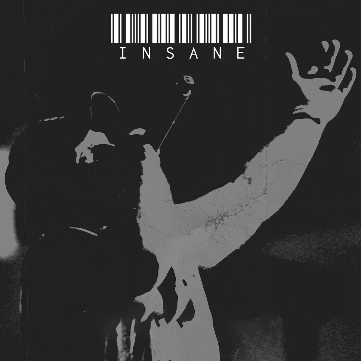 Album cover of Insane