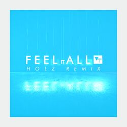 Cover of Feel It All (Holz Remix)
