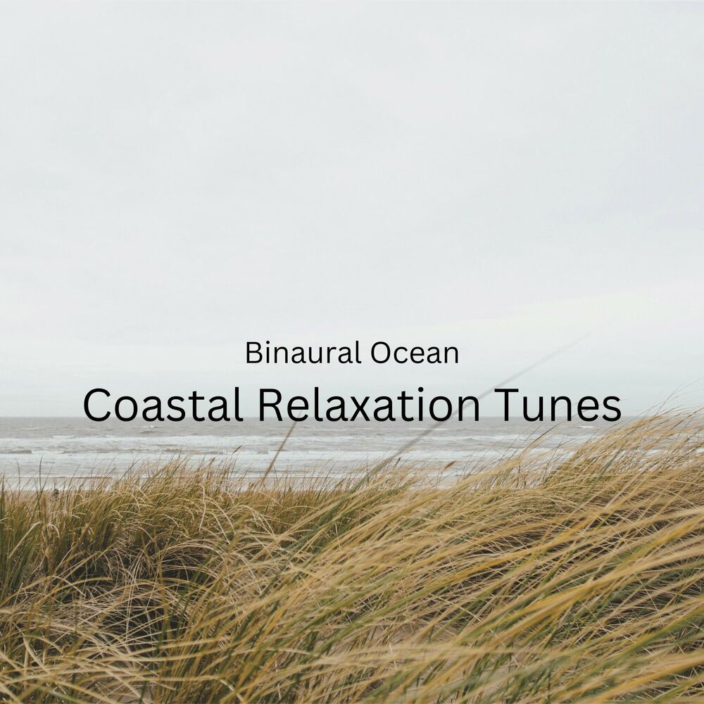 Picture of Binaural Ocean: Coastal Relaxation Tunes