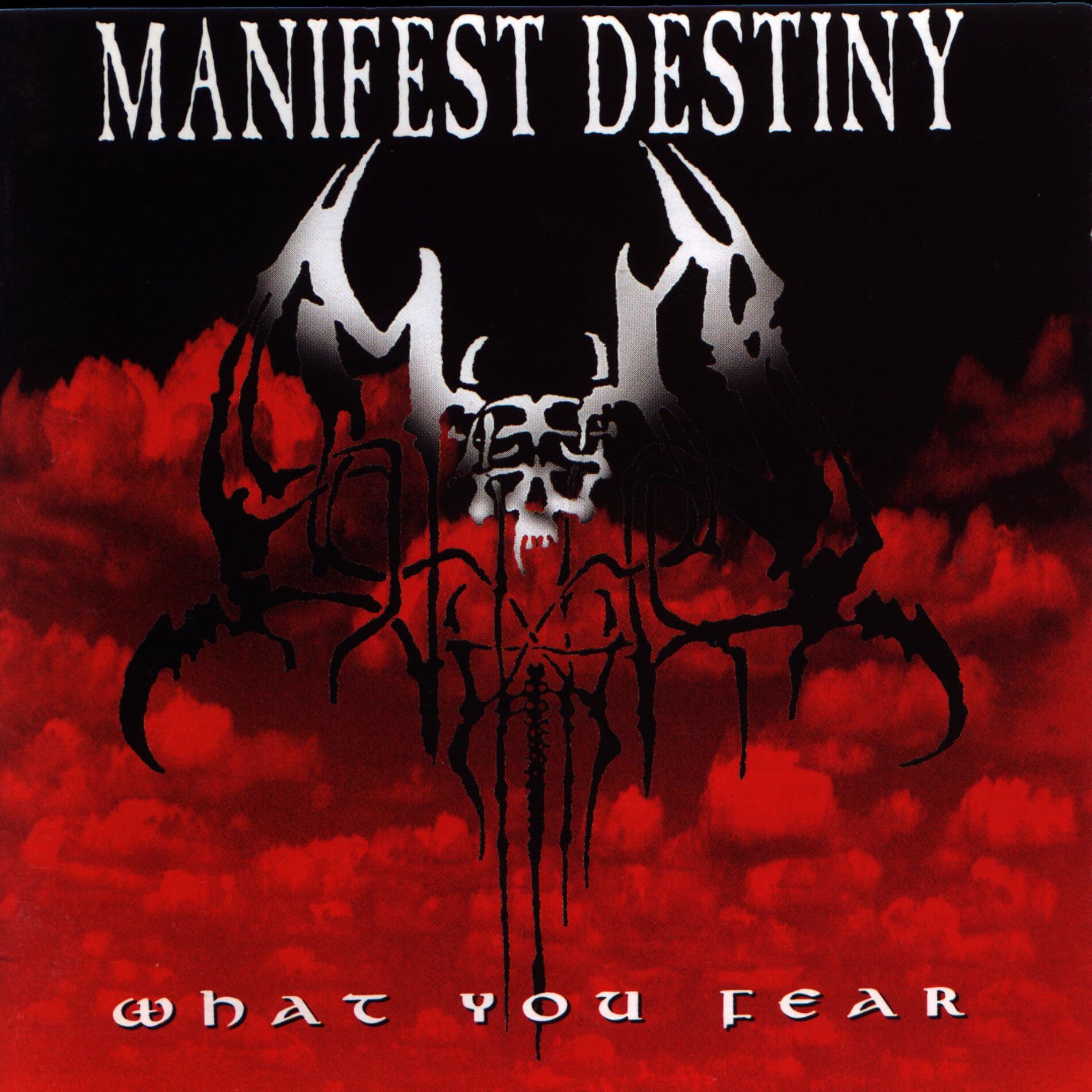 Album cover of What You Fear