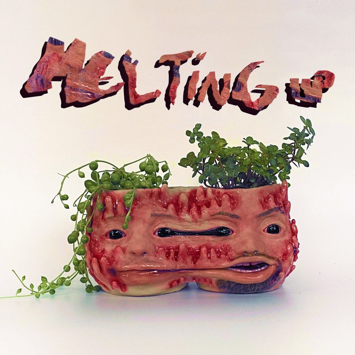 Album cover of No Money To Love You