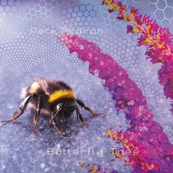 Cover of Butterfly Tree
