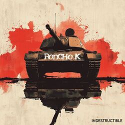 Indestructible
