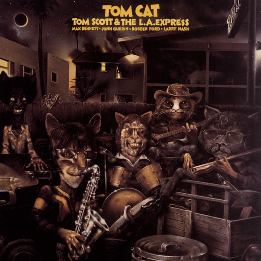 Picture of Tom Cat
