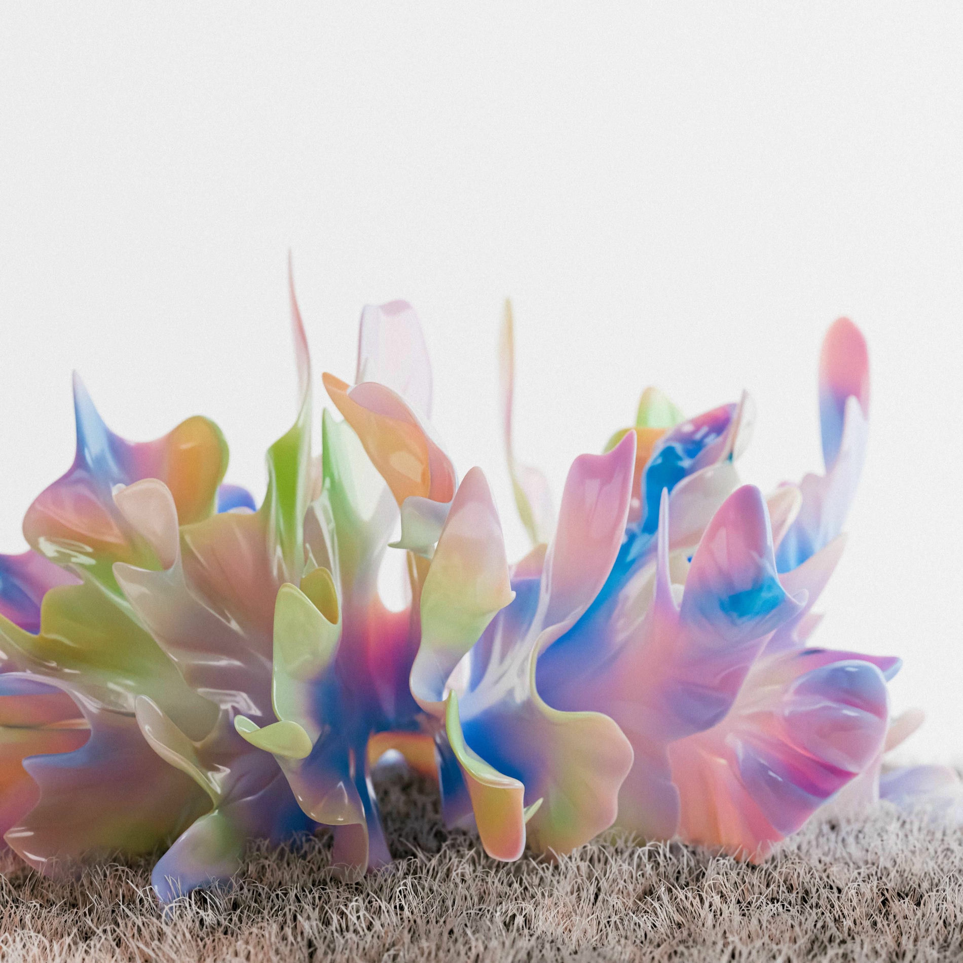 Album cover of Imago