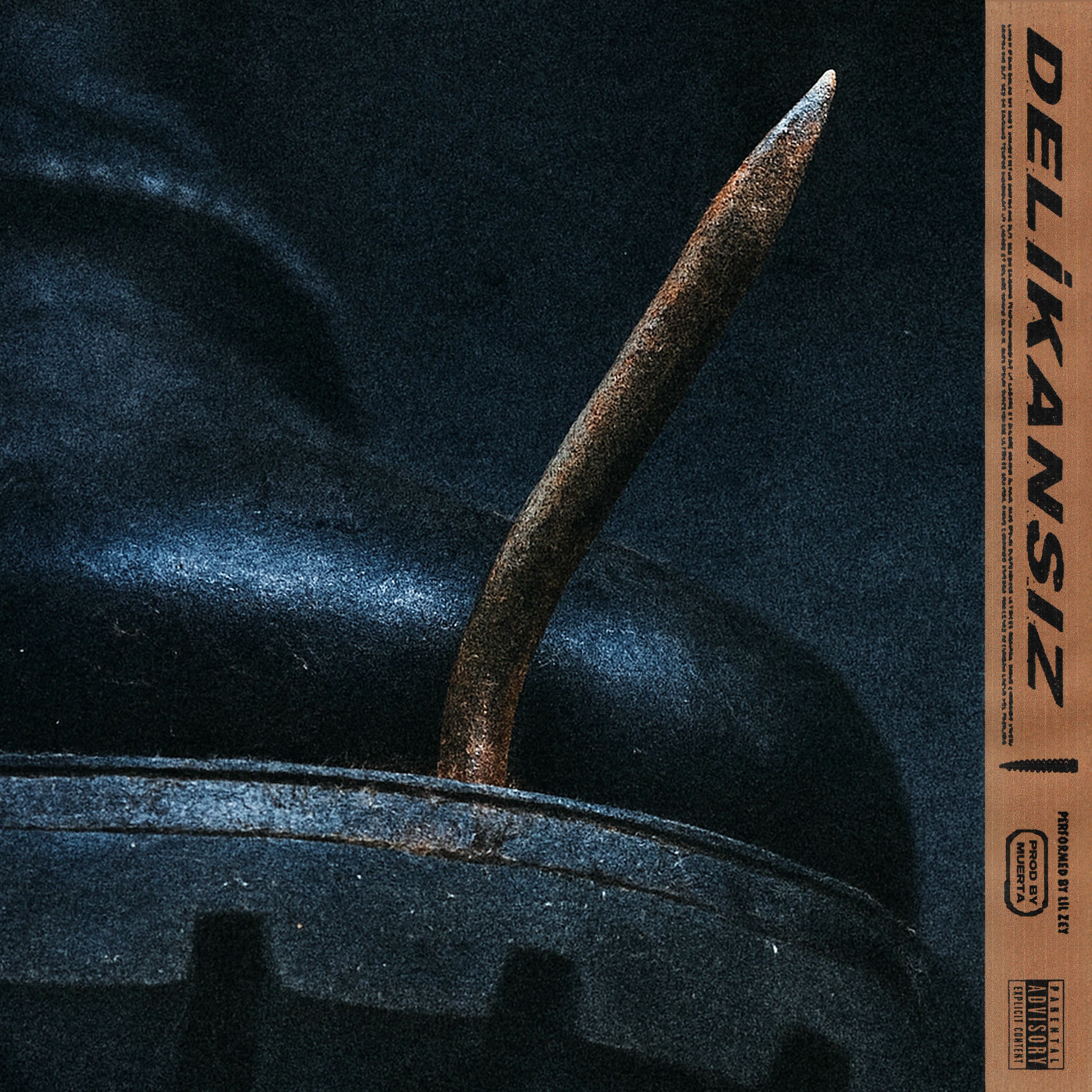 Album cover of Delikansız