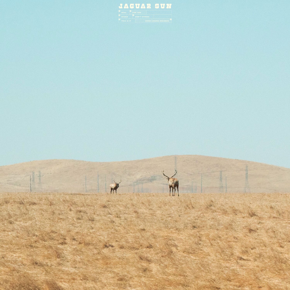 Album cover of For You
