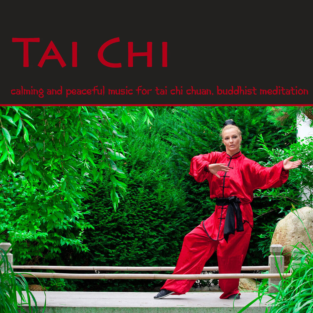 Picture of Tai Chi – Calming and Peaceful Music for Tai Chi Chuan, Buddhist Meditation, Qi Gong, Reiki & Raja Yoga