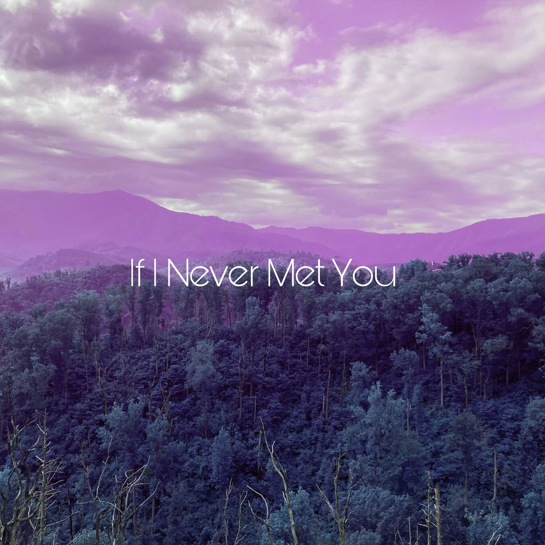 Album cover of If I Never Met You (Slowed + Reverbed)