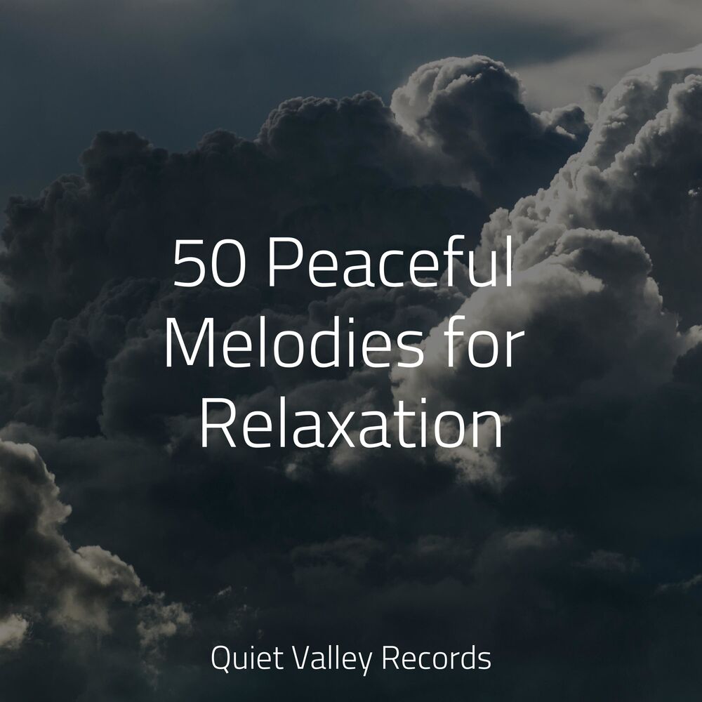 Picture of 50 Peaceful Melodies for Relaxation
