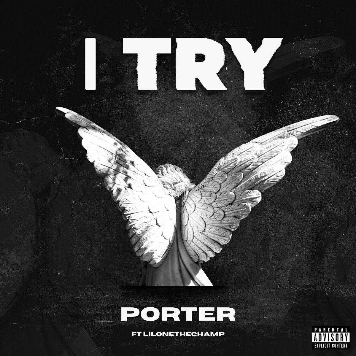 Album cover of I Try