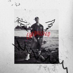 music cover