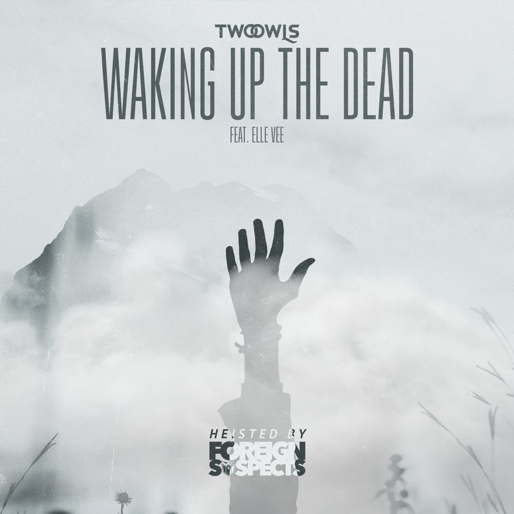 Picture of Waking Up The Dead (Heisted by Foreign Suspects)