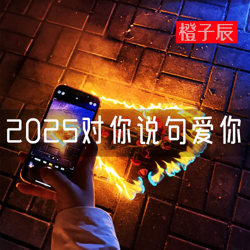 2025对你说句爱你