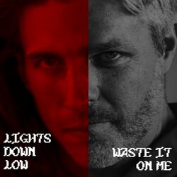 Cover of LIGHTS DOWN LOW / WASTE IT ON ME