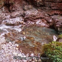Cover of 39 Shrug Off The Stress