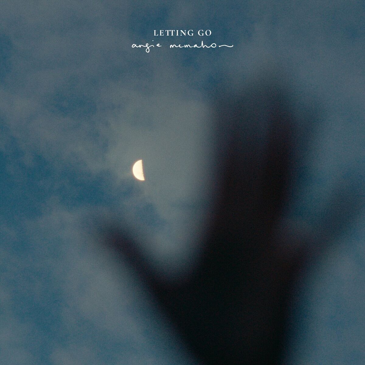 Album cover of Letting Go