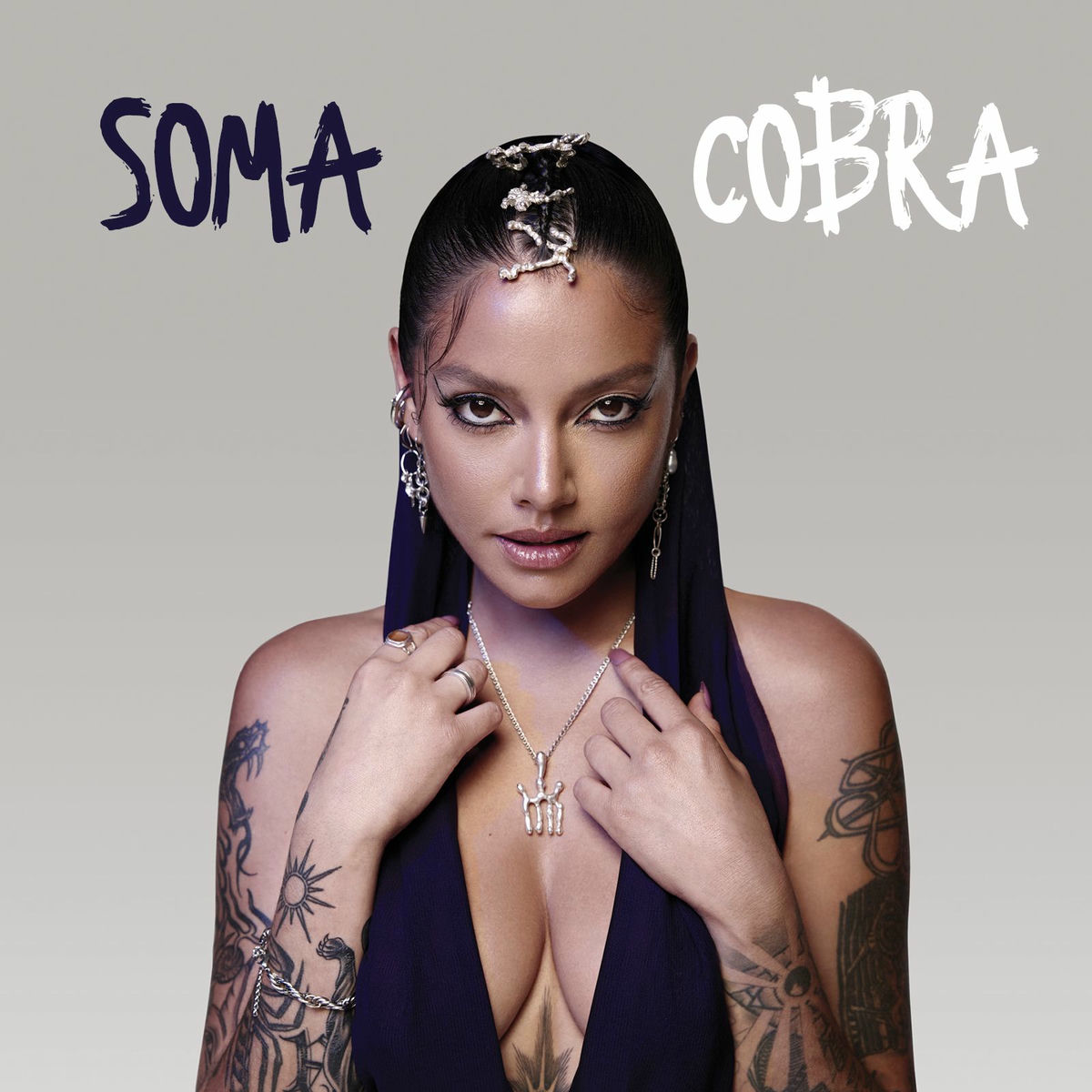 Album cover of Cobra