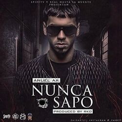 Cover of Nunca Sapo