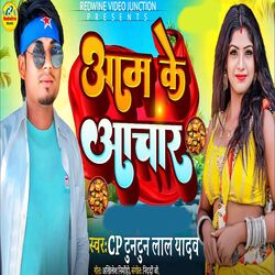 Cover of Aam Ke Aachar