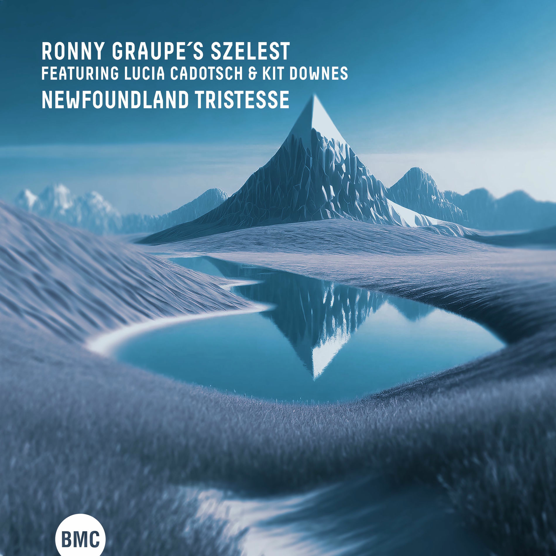 Album cover of Newfoundland Tristesse